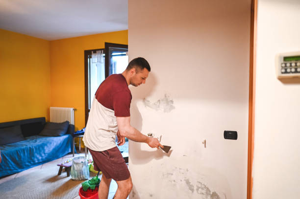 Best Attic Mold Removal  in Clifton Gardens, NY